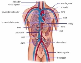 Hoge bloeddruk