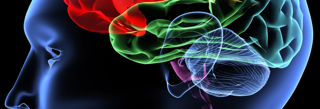 Neurotransmitters