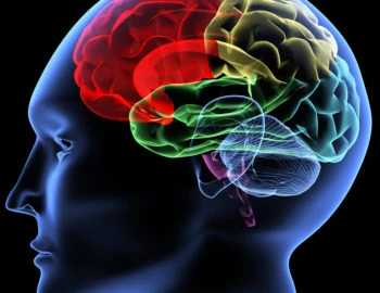 Neurotransmitters