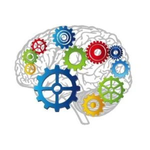 Brain-Wheels